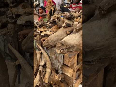 МАЛИ 🇲🇱 Колдовской рынок