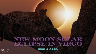 ✨🌑♍General Messages For The New Moon Solar Eclipse In Virgo♍🌑✨::: TIMELESS ::: Pick A Card