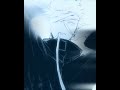 For Real 🗣️ ( Gojo Satoru )     #anime #jujutsukaisen #gojosatoru #fyp