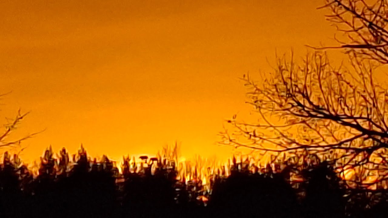 Jani Nevalainen striimaa livenä!