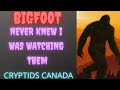 CC EPISODE 430 BIGFOOT NEVER KNEW I WAS WATCHING THEM