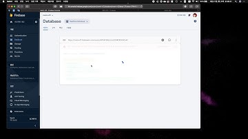 Vue와 Firebase로 나만의 사이트 만들기 25 관리자만 수정하기