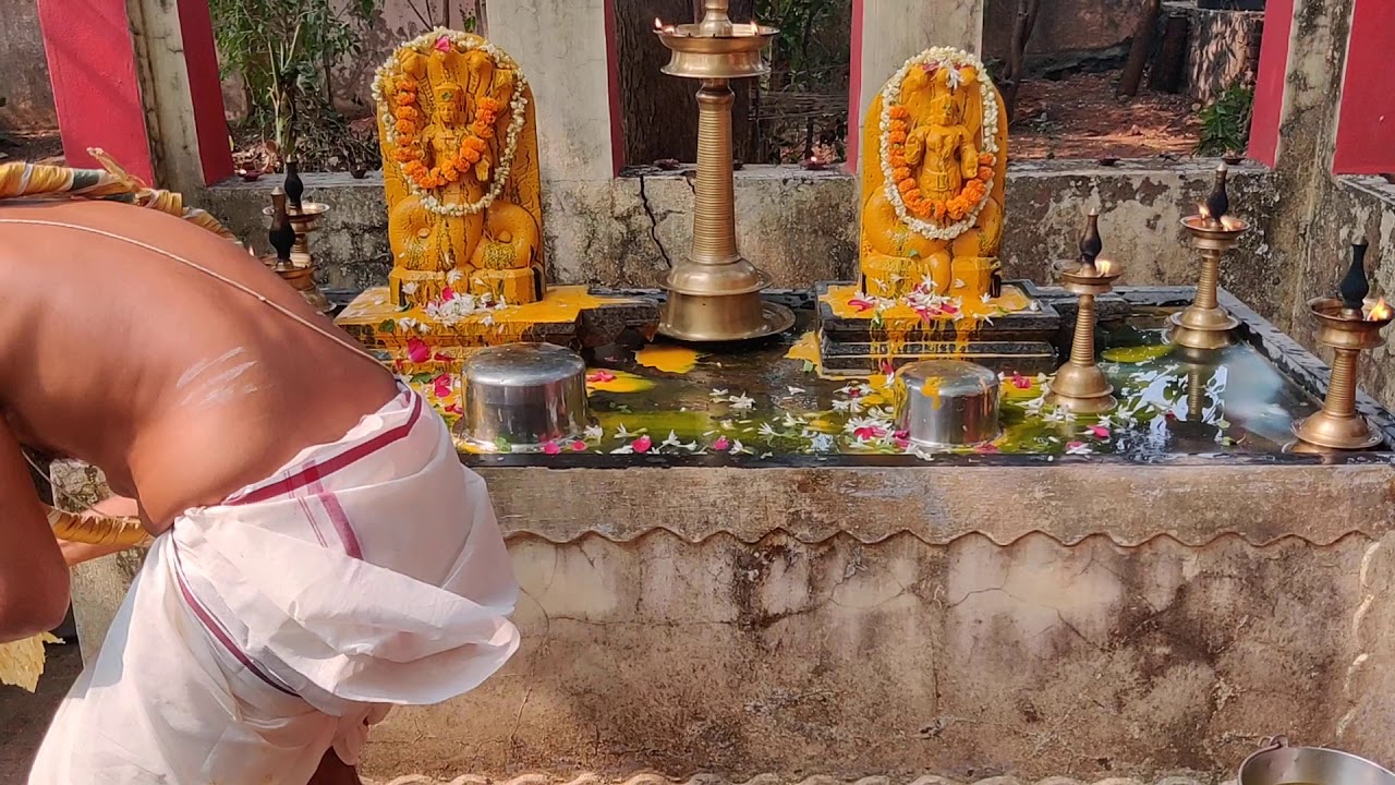 Ayilya Pooja at Ramagiri by Eswaran Namboodiri on 2nd Jan 2021