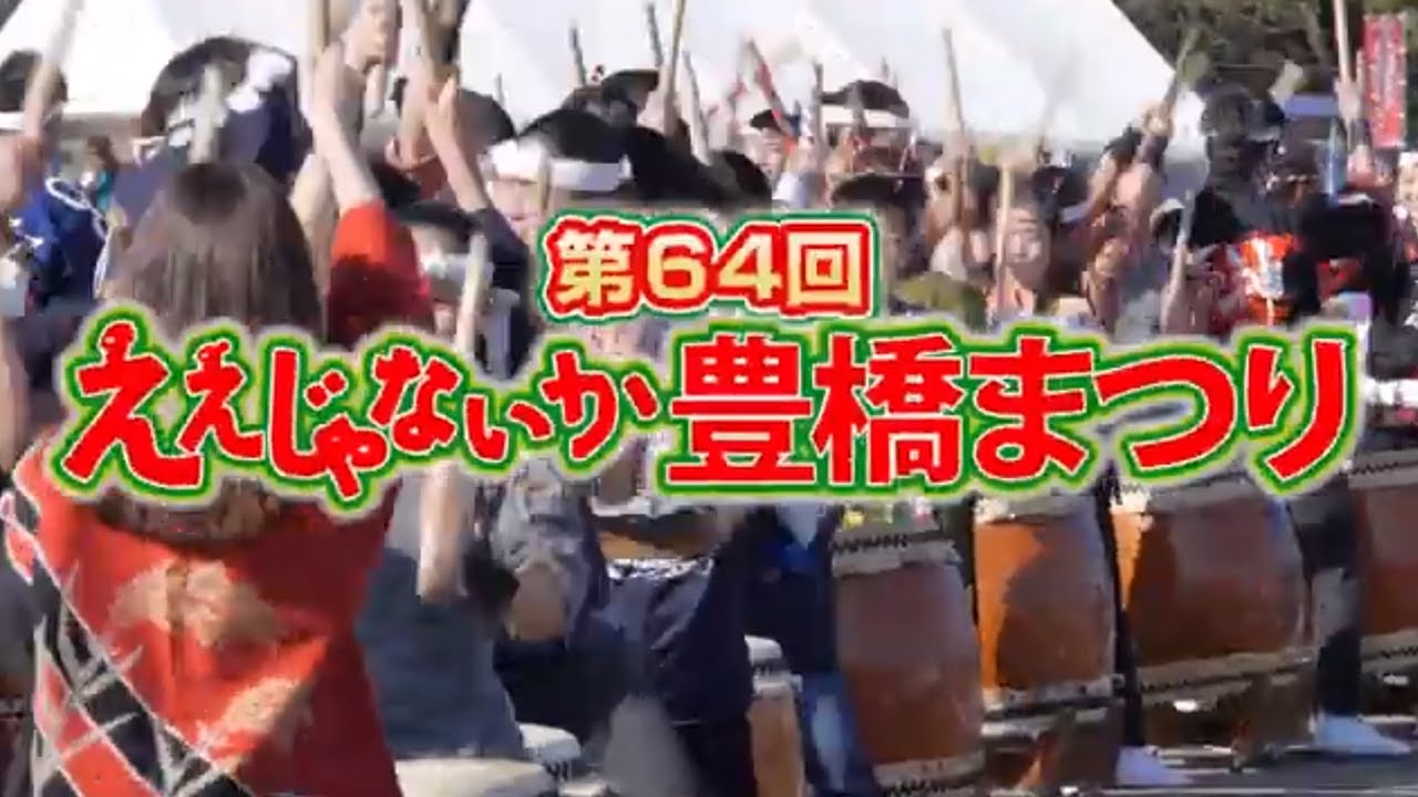 ええじゃないか豊橋まつり 21年 祭の日