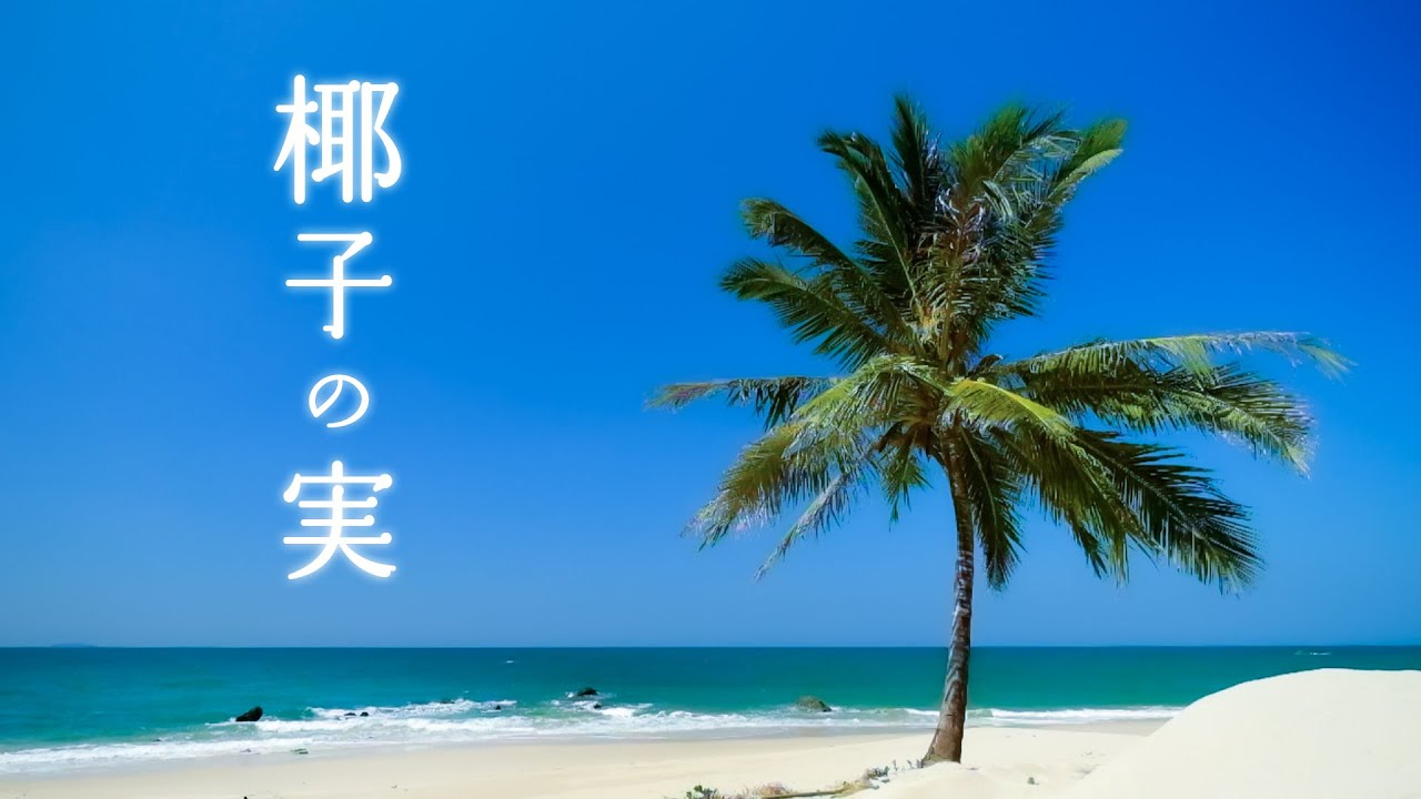 椰子の実/准 - YouTube
