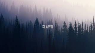 Shawn James  The Curse Of The Fold legendadotraduo