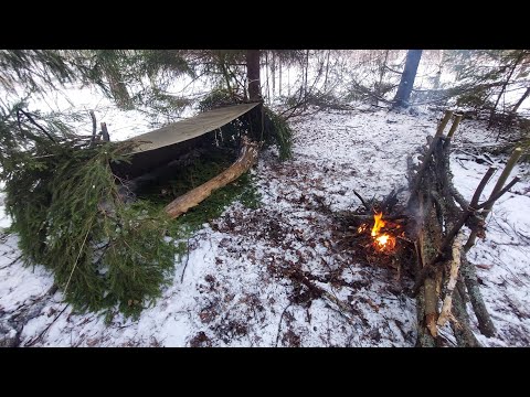 Укрытие из плащ палатки. Постой Bushcraft