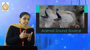 Class 7 / 2nd Semester / Physics / Chapter 6 / Sound