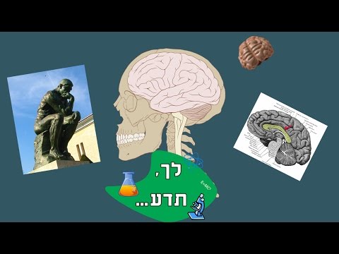 לך, תדע - המוח והתודעה