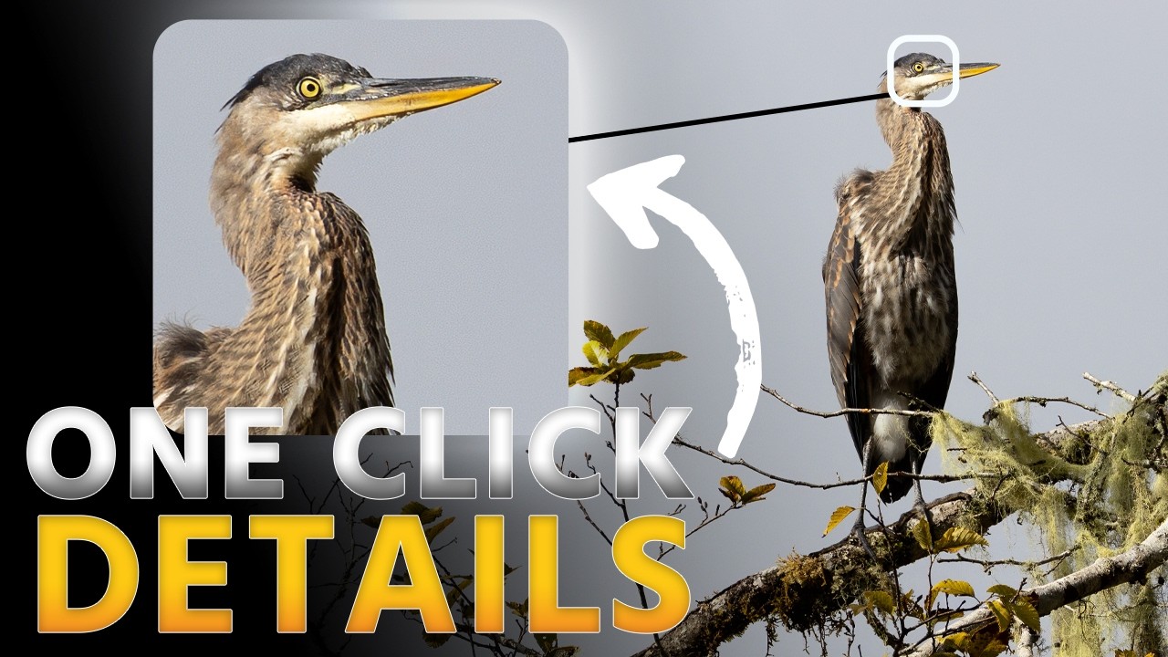 Photoshop's HIDDEN Filter For RAZOR SHARP Images