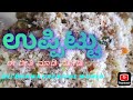 ಹೀಗೆ ಮಾಡಿ ನೋಡಿ. ಎಲ್ಲರೂ ಇಷ್ಟಪಡುತ್ತಾರೆ.