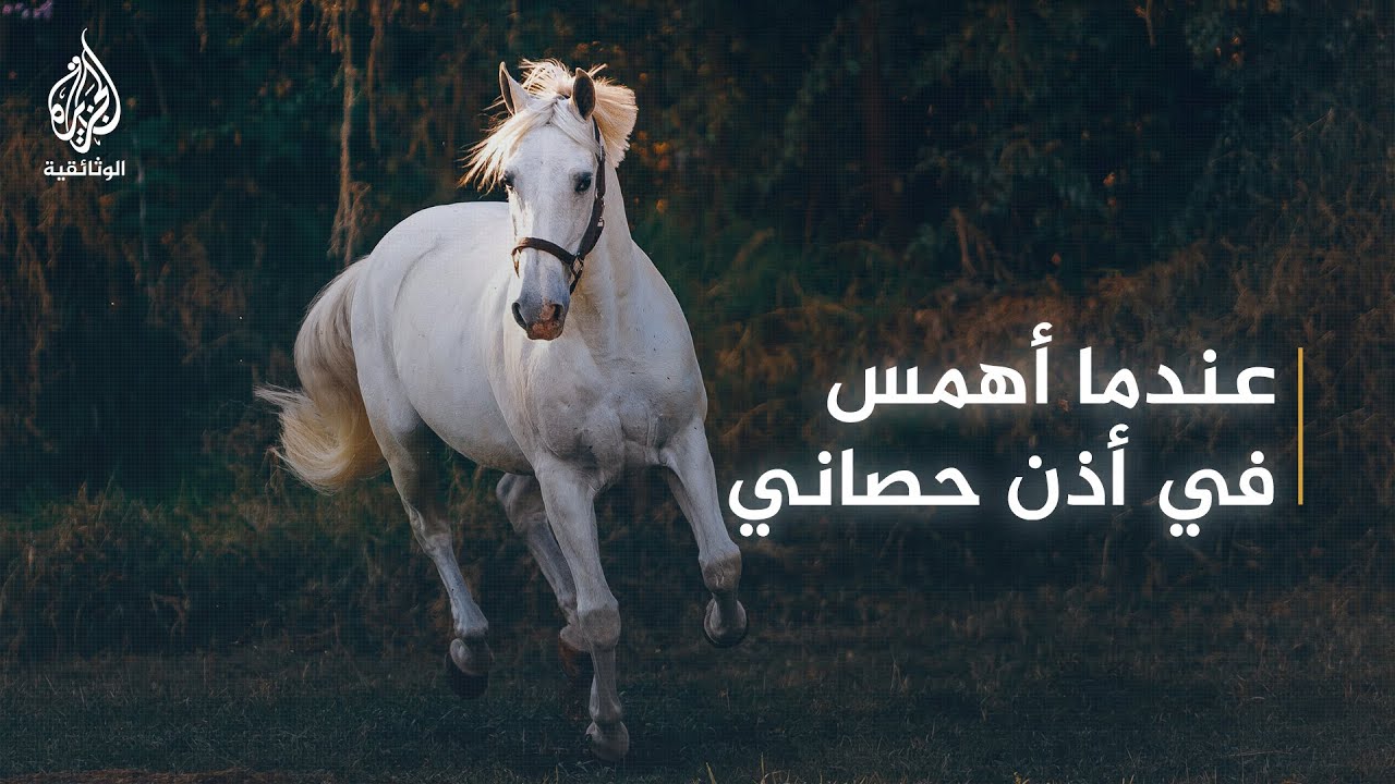 مبادرة الجزيرة الوثائقية للجميع.. عندما أهمس في أذن حصاني