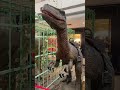 Jurassic park❤️ #amritsar #punjab #kids #ytviralshorts #dinosaurs #viralshorts