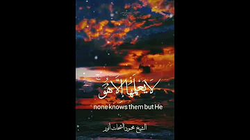 و ي ع ل م م ا ف ي ال ب ر و ال ب ح ر و م ا ت س ق ط م ن و ر ق ة إ ل ا ي ع ل م ه ا 