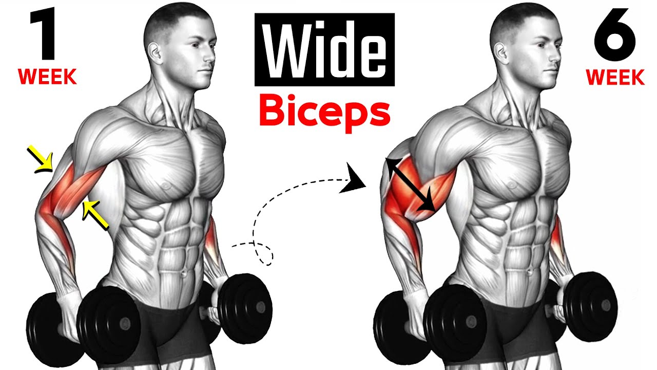 15 BEST Exercises for WIDER BICEPS