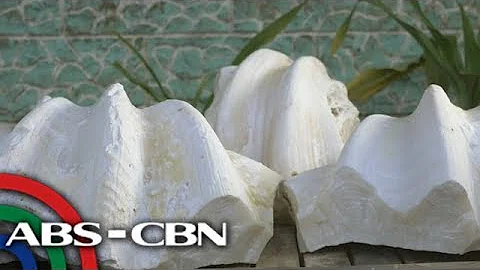 Rated K: Carlos Gayola recalls unearthing alleged ...