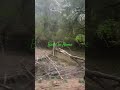 മൂന്നാർ ന്റെ ഇട വഴി യിൽ കൂടെ ഒരു മനോഹര യാത്ര ✌️