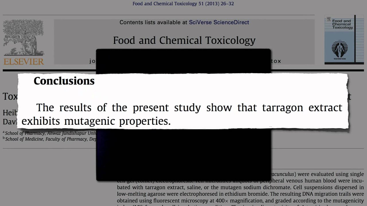 Studies Show Negative Side Effects of Tarragon Tea Pursuit YouTube