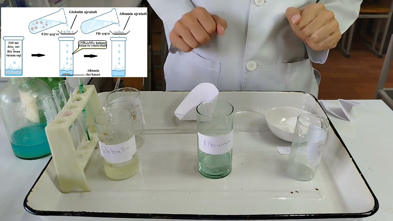 Tuxum oqsilidan albuminni ajratish
