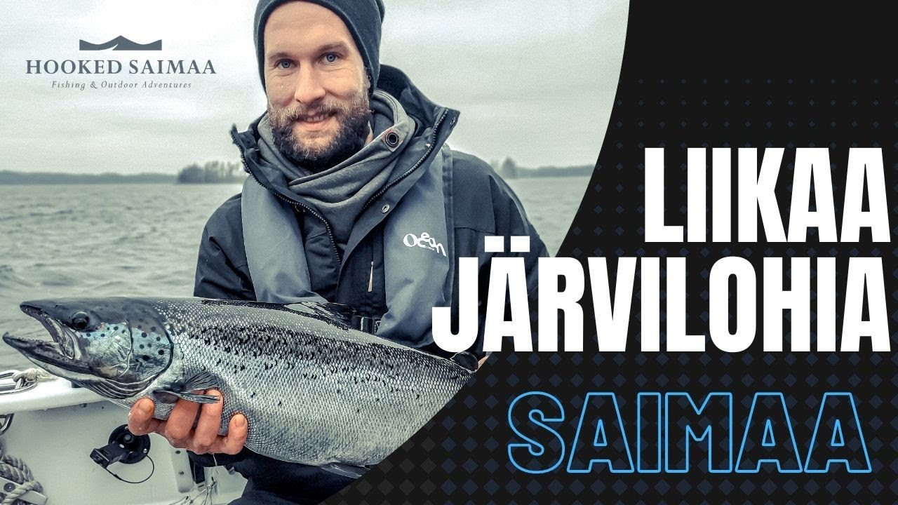LIIKAA JÄRVILOHIA - JÄRVILOHEN UISTELU - HOOKED SAIMAA - SALMON TROLLING
