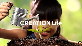 CREATION Life  Live Whole