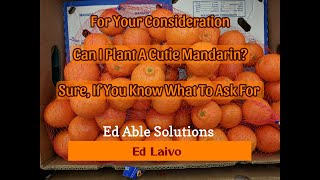 Cuties, What Is The Mandarin In The Cuties Bag?  For Your Consideration How Many Carbs In A Cutie Mandarin