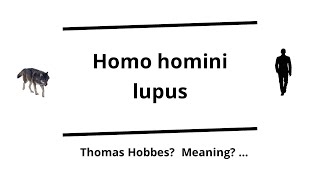 Homo homini lupus: Meaning? Origin? Thomas Hobbes? Plautus? Language?