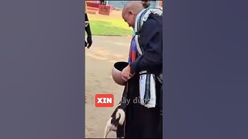 Chó Cắn Áo Không Cho Sư Minh Tuệ Rời Sri Lanka – Câu Chuyện Gây Sốt Cộng Đồng Phật Tử