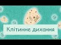 Клітинне дихання