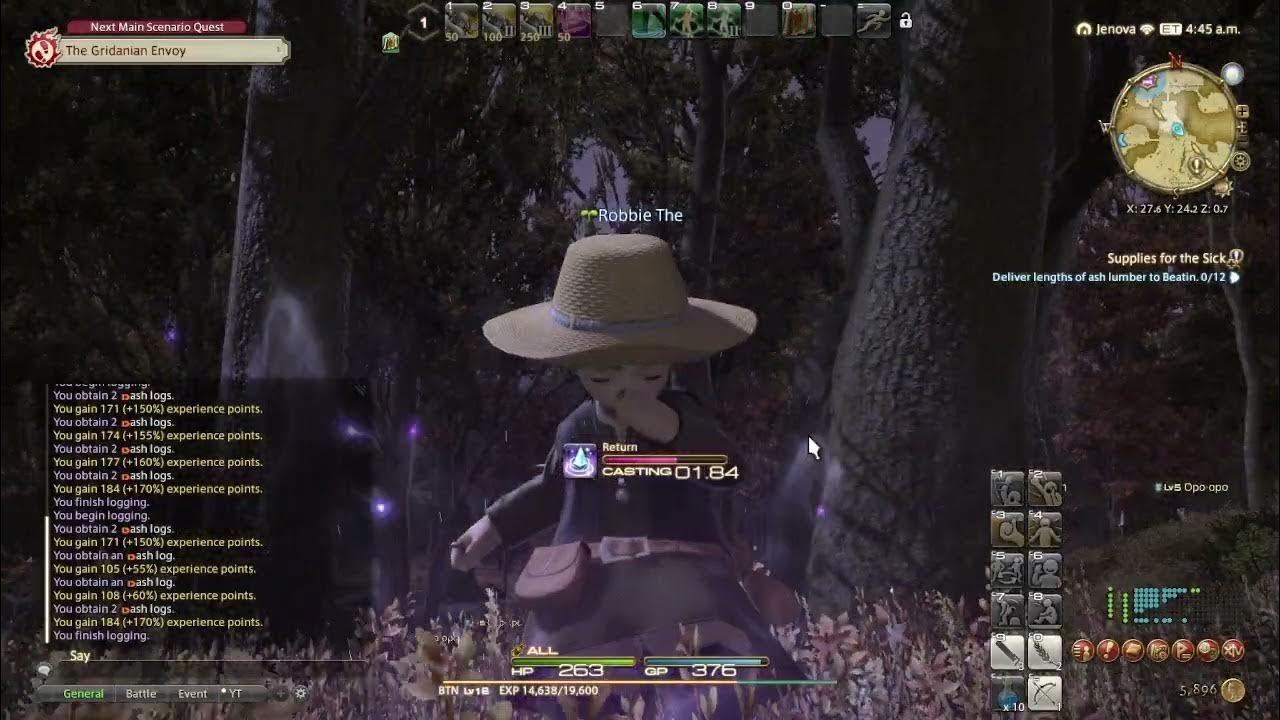 Quest 138 Supplies for the Sick (CRP Lv10) 1QAD FFXIV YouTube