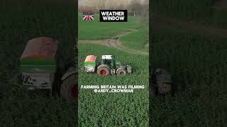 Farming Weather Window - What did you do?