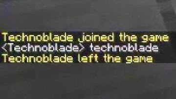 Technoblade Joined The Game