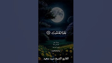 سورة آل عمران الآيات ٢٥_٢٦ للقارئ الشيخ سيد سعيد