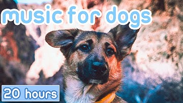 [NO ADS] Music for Dogs: Relaxation Tones to Calm Anxiety & Stress!