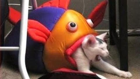 My Part in Digital Collapse (Hosted by Ashene) | GD 2.13