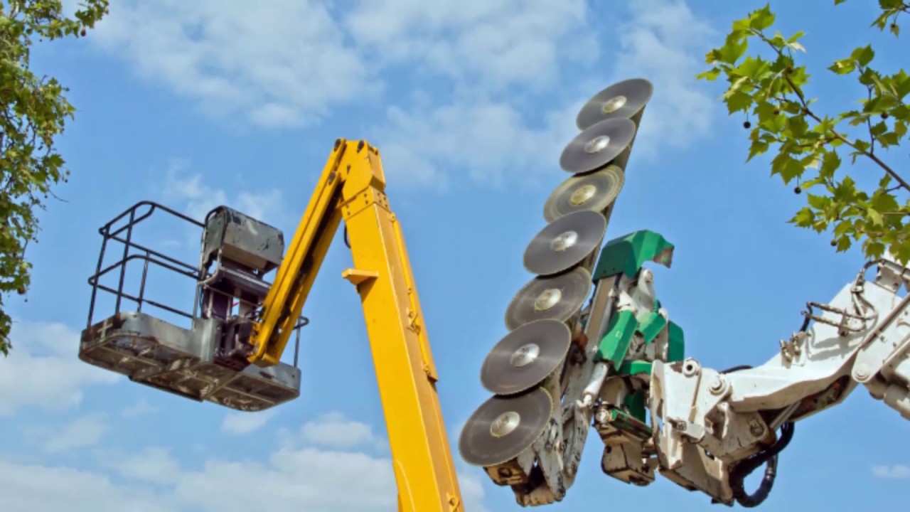 True Blue Tree Service   (724) 220 6007 - YouTube