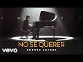 Andrés Cepeda - No Sé Querer (Video Oficial)