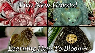 #469 Two Resin Blooms With Lessons + Lotsssss Of Extras! Two Special Guests!