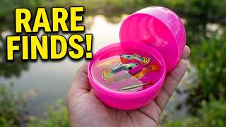 This Pond Has Everything - Guppies, Pencil Fish, Eels, Frogs, and Rare Rat Fish