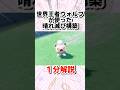 世界王者ウォルフが使った晴れ滅び構築がスゴすぎる…