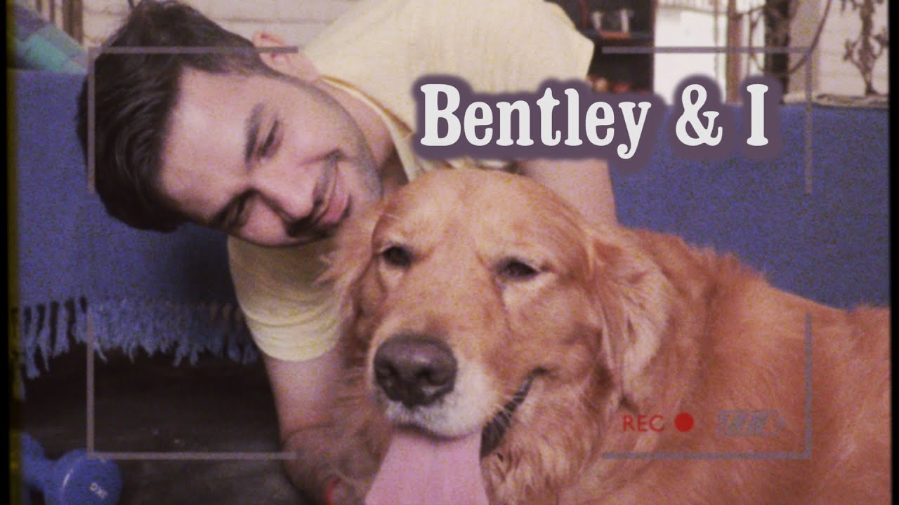 Bentley & I - Lofi Short Film