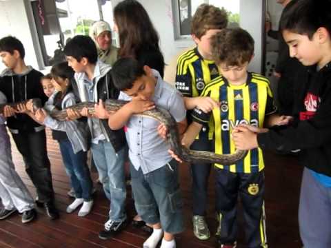 trademark meaning snake display Melbourne