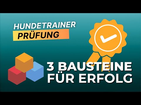 So meisterst du die Hundetrainer-Prüfung mit 3 Bausteinen