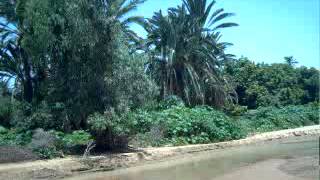 صور عن مدينة كتم Youtube