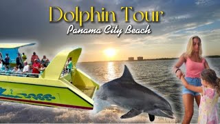 Dolphin Tour Cruise  // Panama City Beach // Sea Screamer