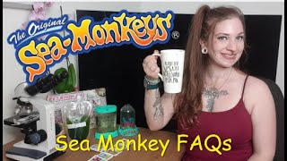 Sea Monkey FAQs Part 1
