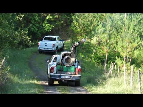 INNOBANDAS / VÍDEO DE CONCLUSIONES / PROYECTO DE SANIDAD FORESTAL