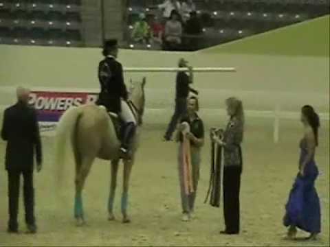 Gen Custer 2009 US Sport Horse Nationals Arabian Reserve Freestyle Champion