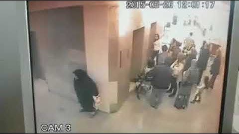 Frau mit Burka muss mal dringend