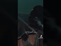 نصرت البدر خطين ونخله